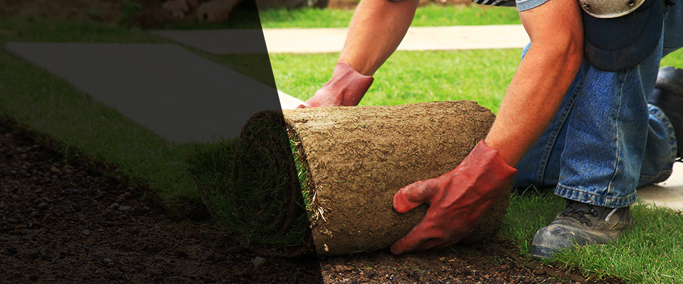 Goddard Landscapers